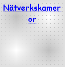 Textruta: N�tverkskameror